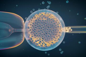 A routine IVF embryo biopsy for clinical genetic testing, which provided the large-scale genetic data analyzed in this study