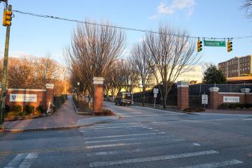 A tree-lined road with two brick pillars