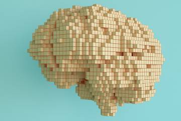 Illustration of a brain made of building blocks