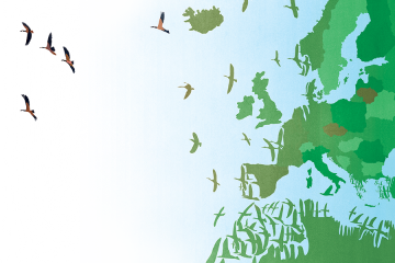 Illustration depicts a political map of Europe with the coastline disintegrating to become birds in flight across the Atlantic