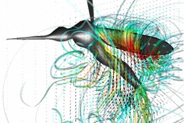 Complex flow streamlines generated by the flapping wing of a mosquito in flght.