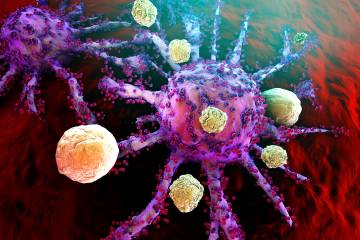T-cells attacking tumor cells, a process facilitated by immunotherapy
