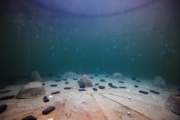Photograph of underwater test tank