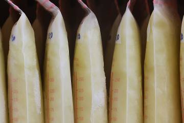 Bags of breastmilk lined up in a refrigerator