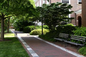 Empty campus pathways
