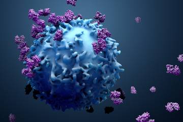 3D illustration of proteins with lymphocytes , T cells, or cancer cells