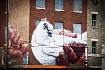 Giant mural of hands holding white dove on brick Baltimore rowhome with boarded up windows