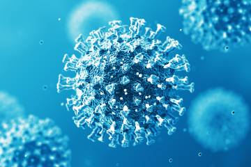 Digital illustration of a coronavirus molecule