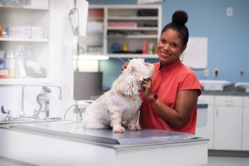 Veterinarian Joya Griffin in her office posing next to a small, white dog