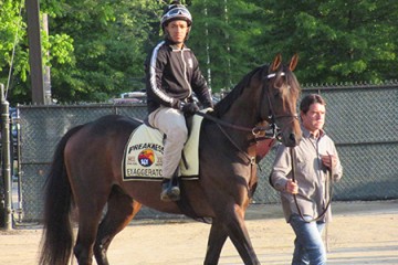 Exagerrator at Pimlico