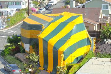 A house is fumigated