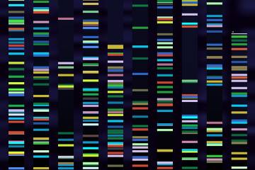 Genetic sequence with color coding