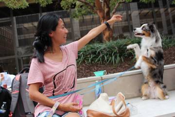 Sherry Chen offers her dog Sherlock a treat