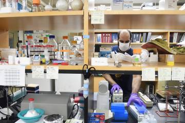 A man organizes a shelf of lab materials like gloves, chemicals, and beakers