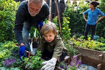 Senior man gardening with young grandchild