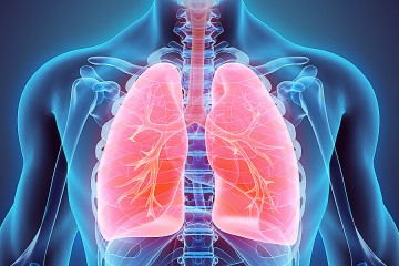 Illustration of respiratory system