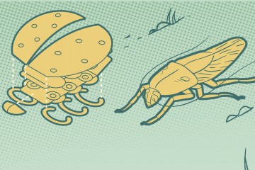 Illustration of a robot and cockroach