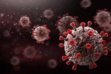 SARS-CoV-2 virus particle