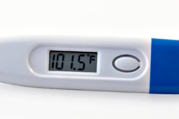Thermometer showing 101.5 degree temperature