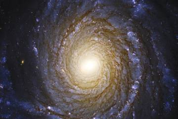 Spiral galaxy NGC 3147