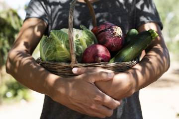 A person holds a basket of garden produce