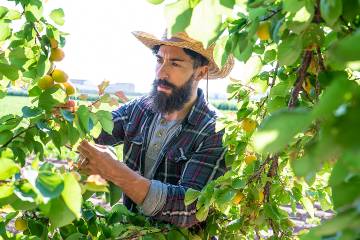 Man wearing a hat while gardening