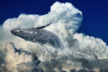 A sparkling whale flops backwards on a background of fluffy clouds and blue sky.