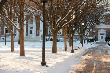 A photograph of a snowy Homewood campus with a cleared pathway