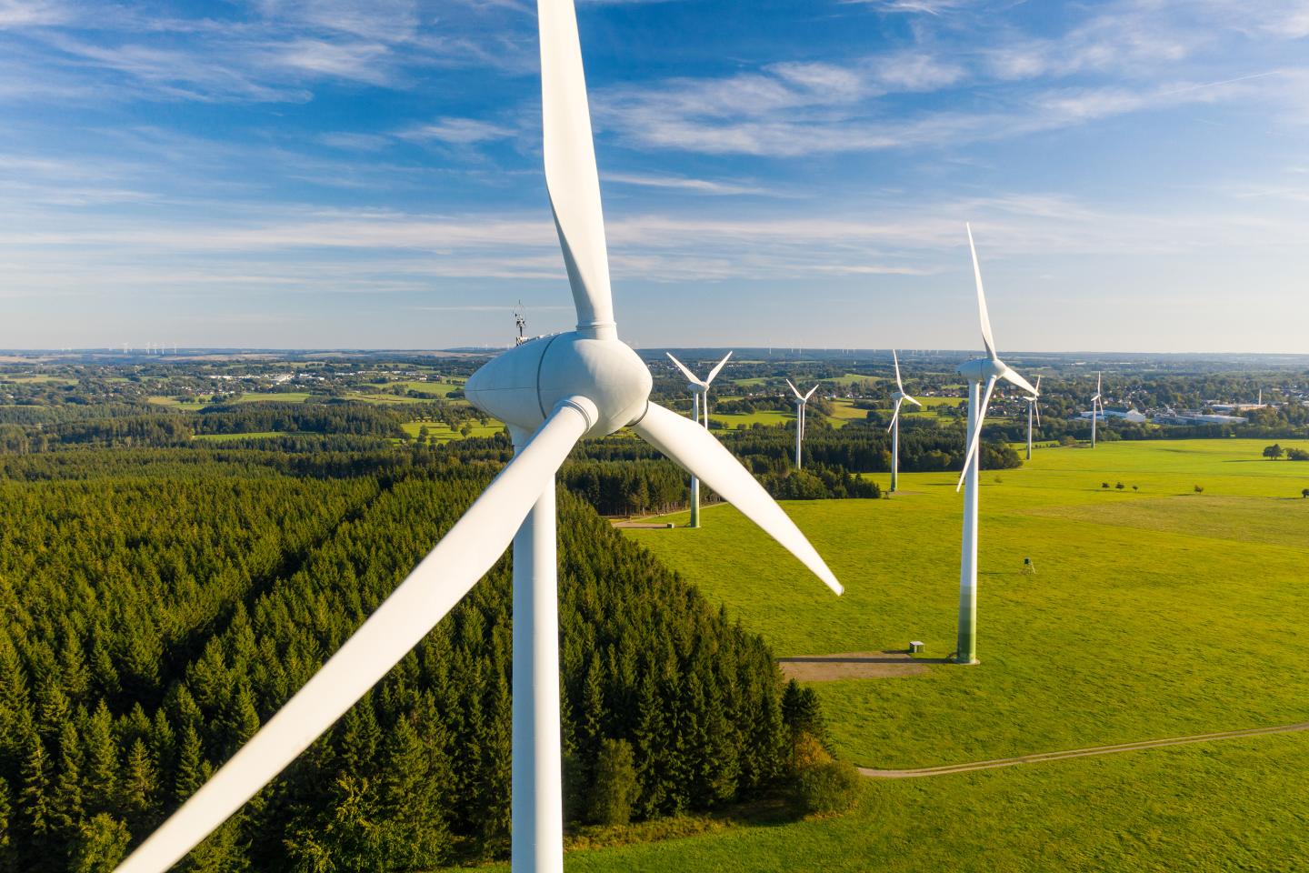 New project will lay groundwork for open access to massive windfarm