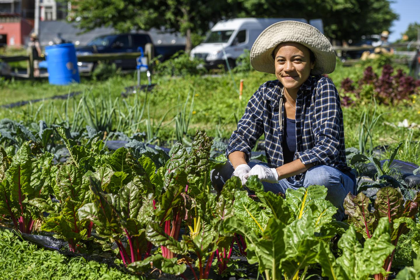 A person in a garden