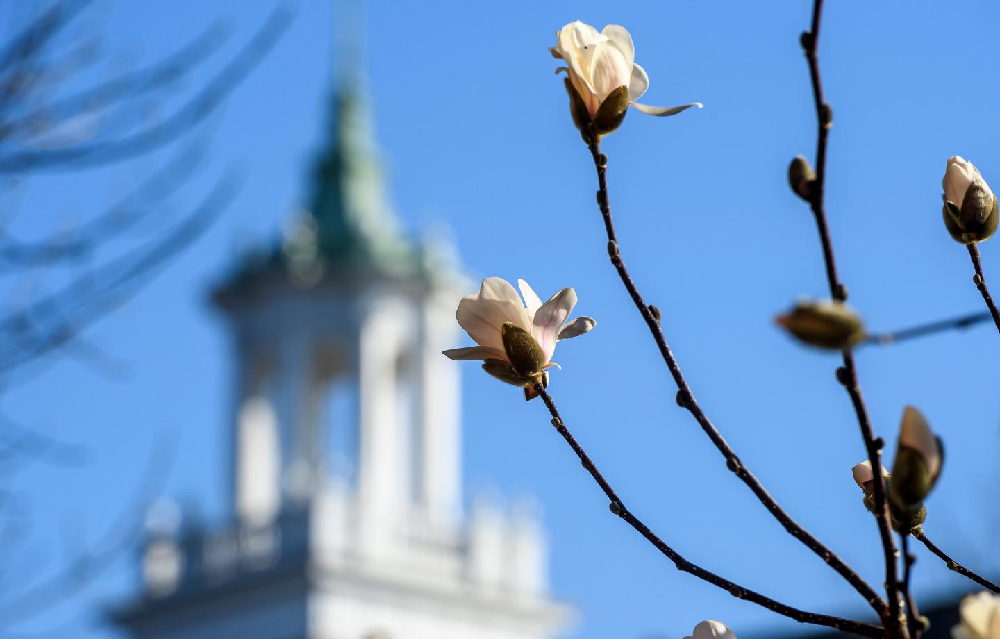 Johns Hopkins invites 1,592 applicants to join its Class of 2027 | Hub