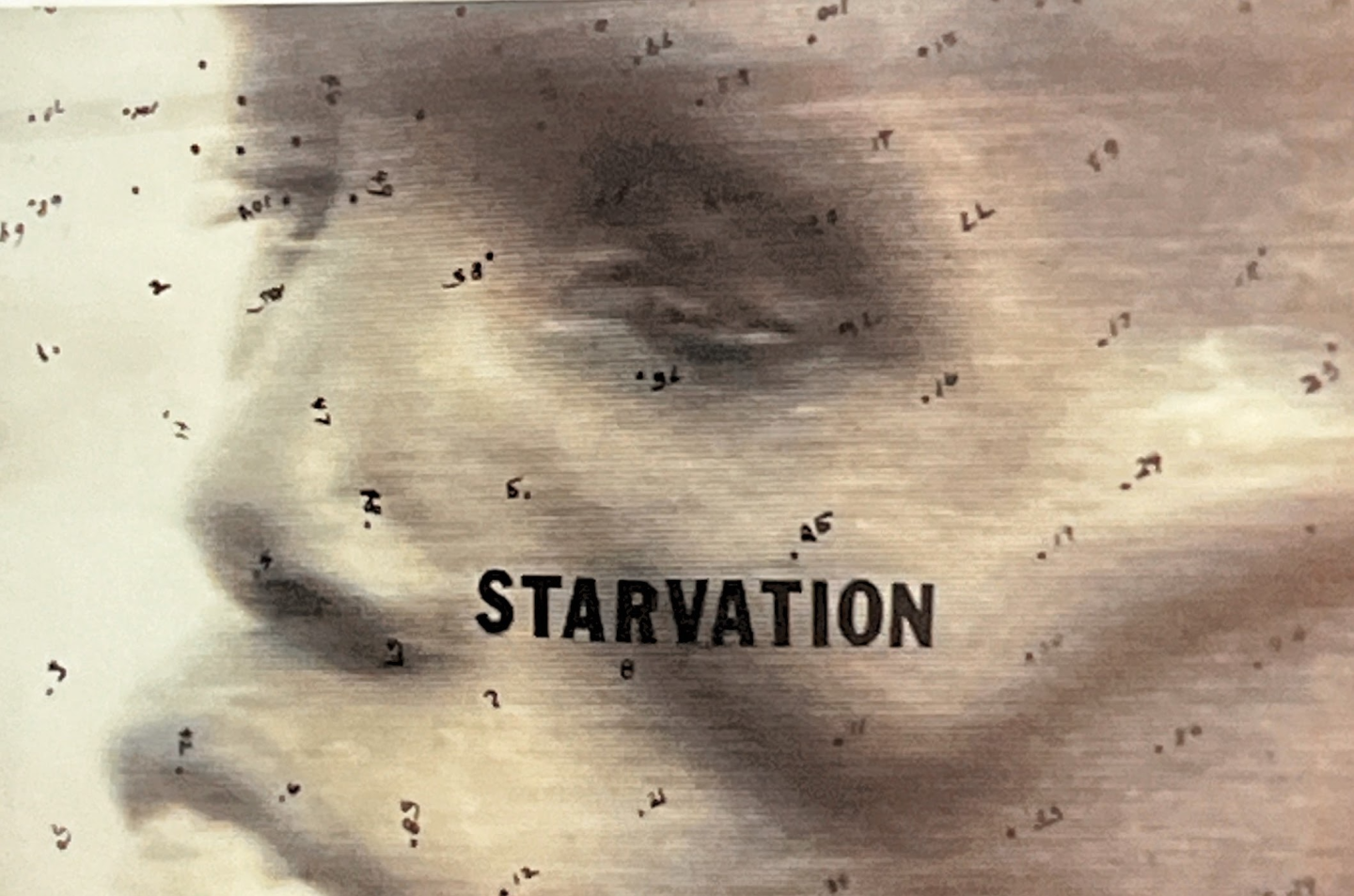 Howardena Pindell, War_Starvation (Sudan #1), 1988