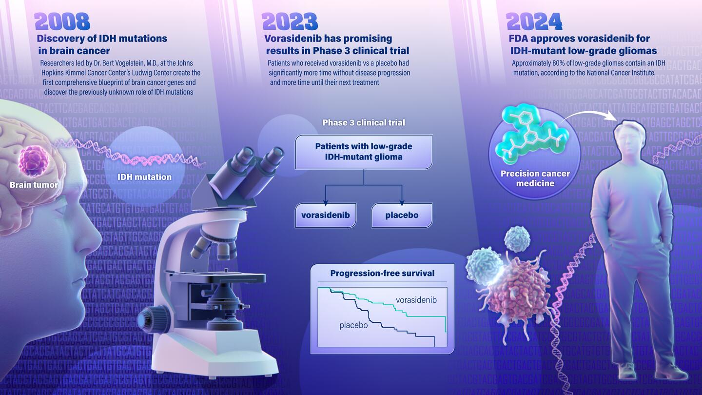 Illustration of timeline for drug development, from initial discovery to FDA approval