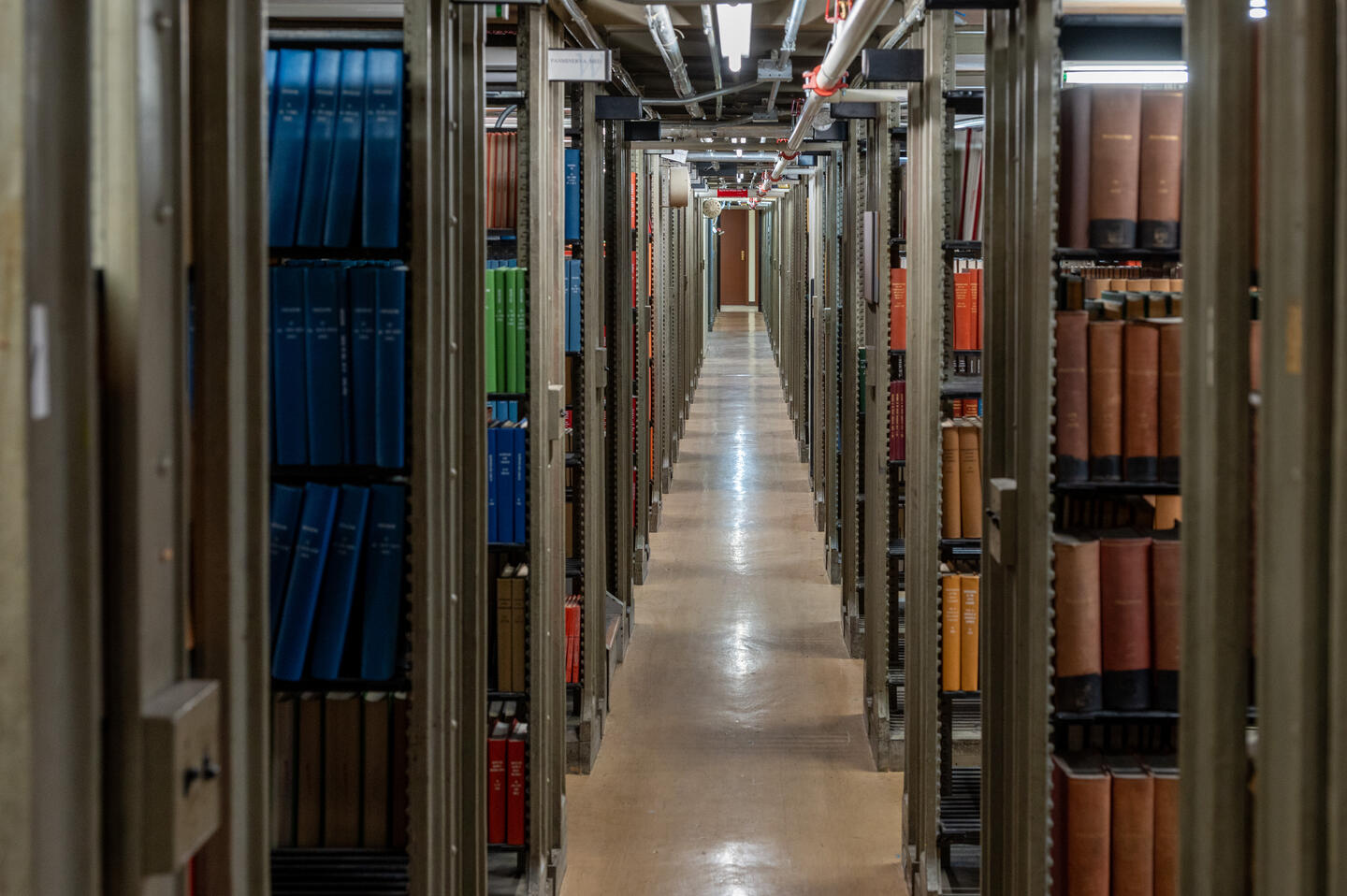 Photograph of metal shelving units filled with old books