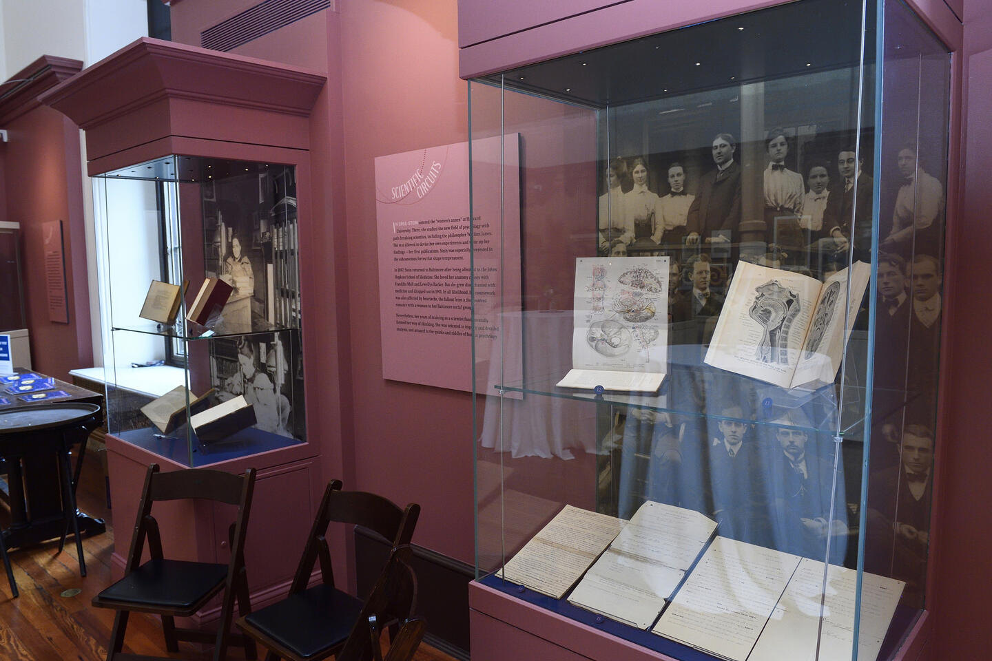 Gertrude Stein in black and white photos showing other female medical students at Johns Hopkins