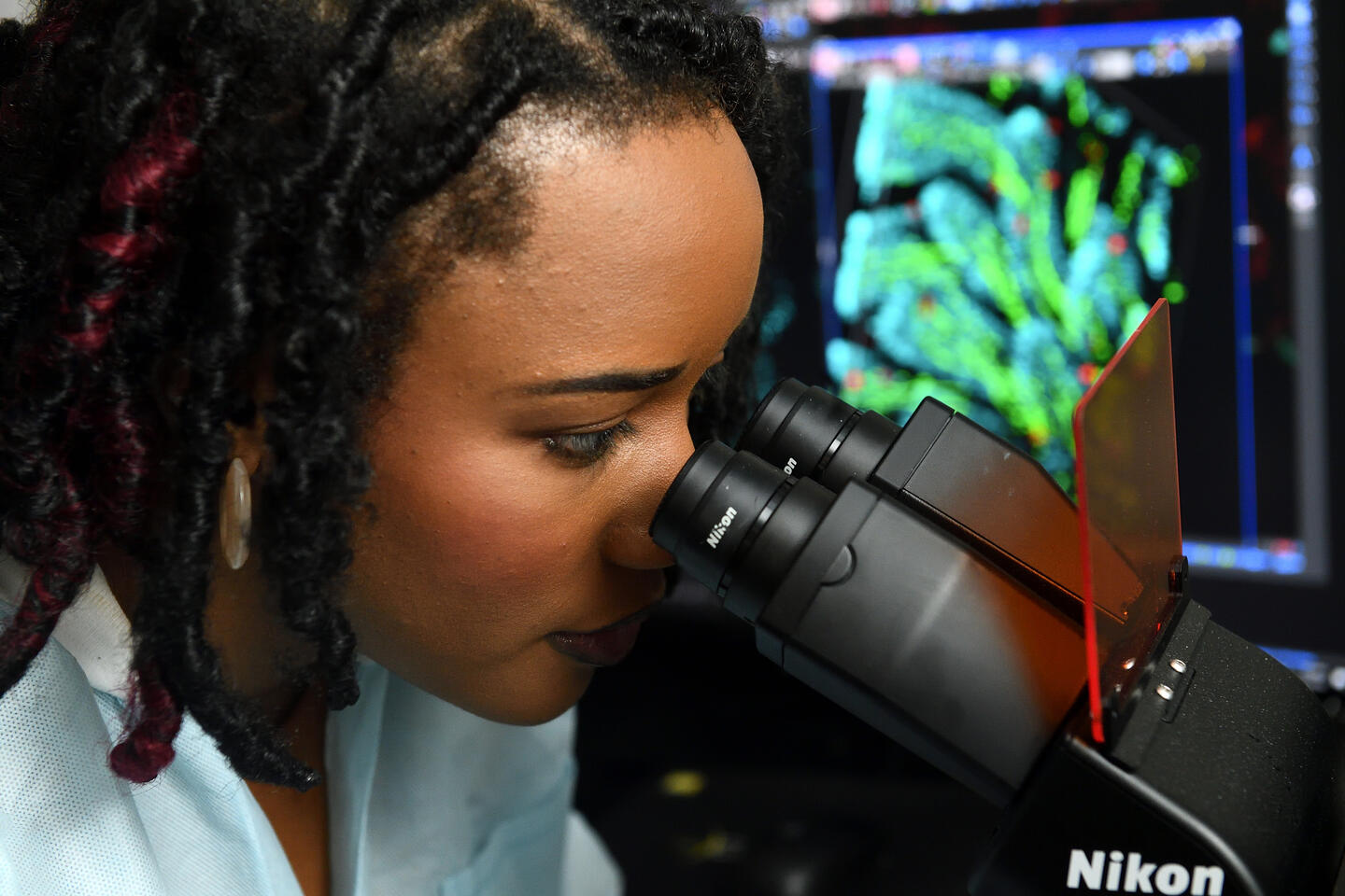 A scientist looks into a Nikon microscope.