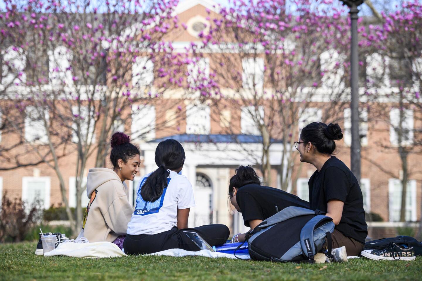 Four college students sit on a picnic blanket under budding pink trees.