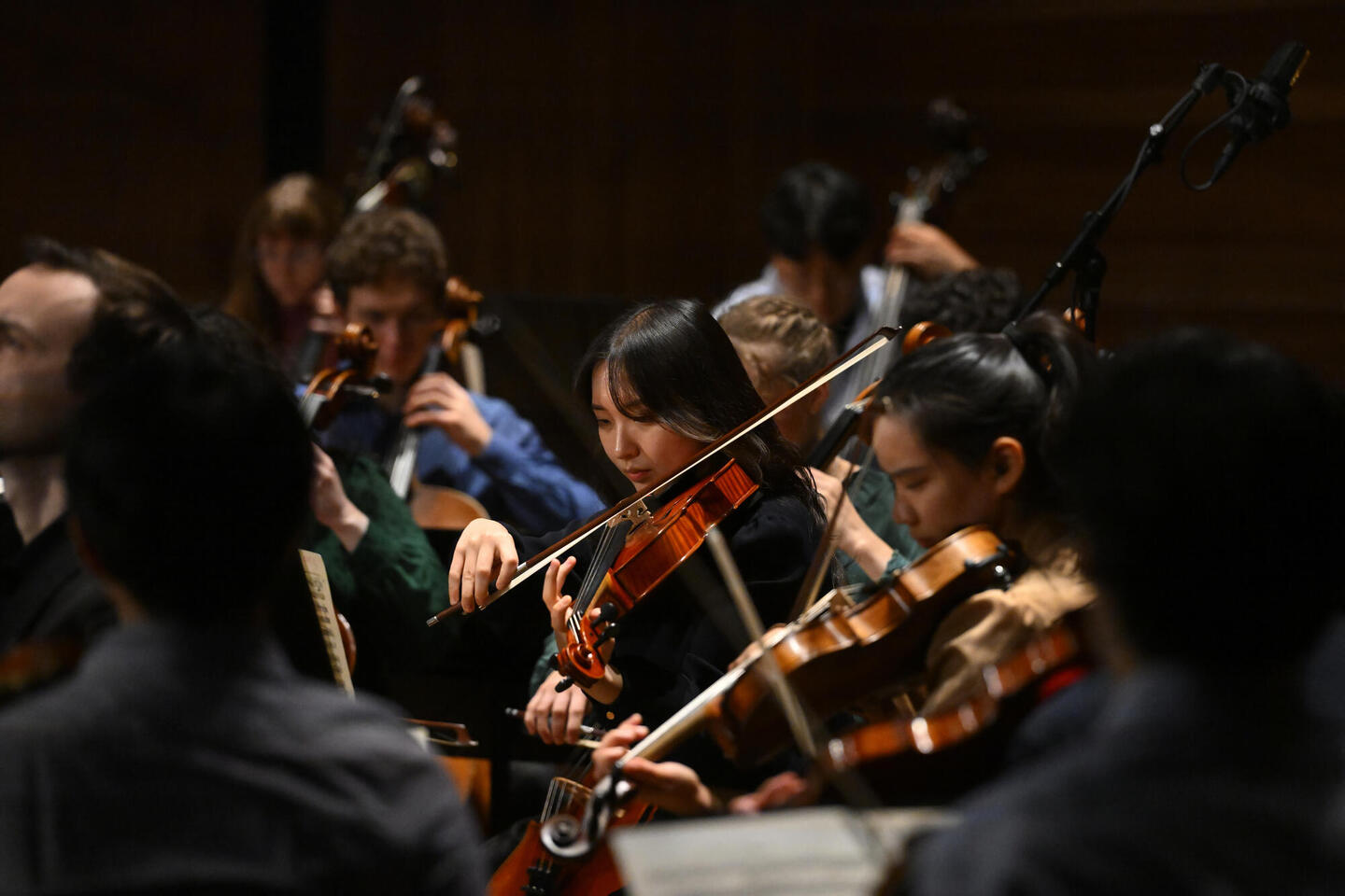 A close-up of an orchestra performing on a dimly lit stage.