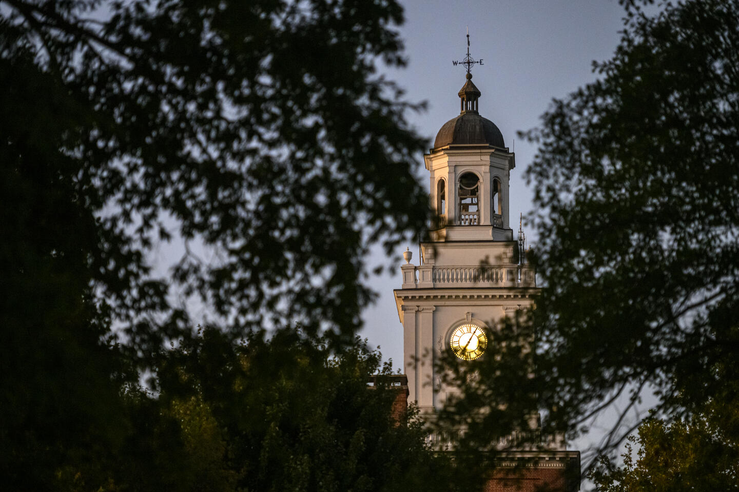 The Gilman Hall clocktower peaks through the trees at dusk.