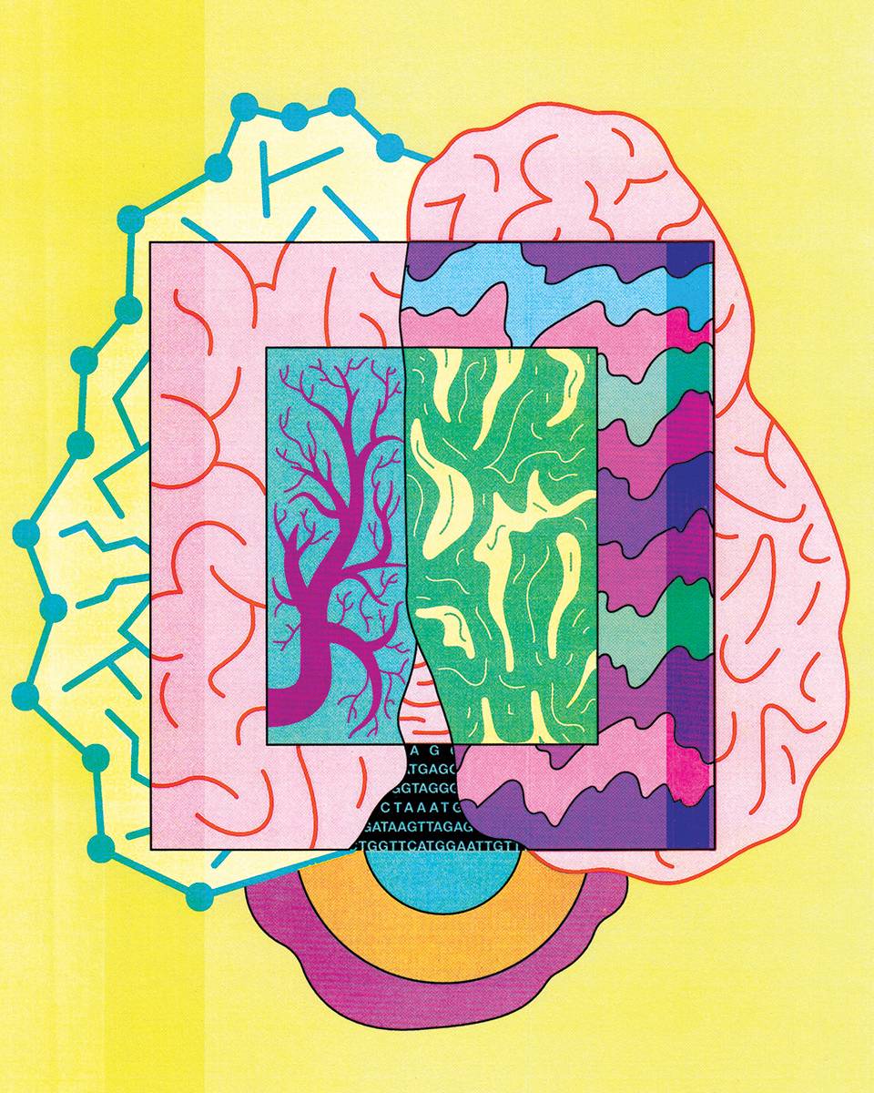 Illustration of a brain
