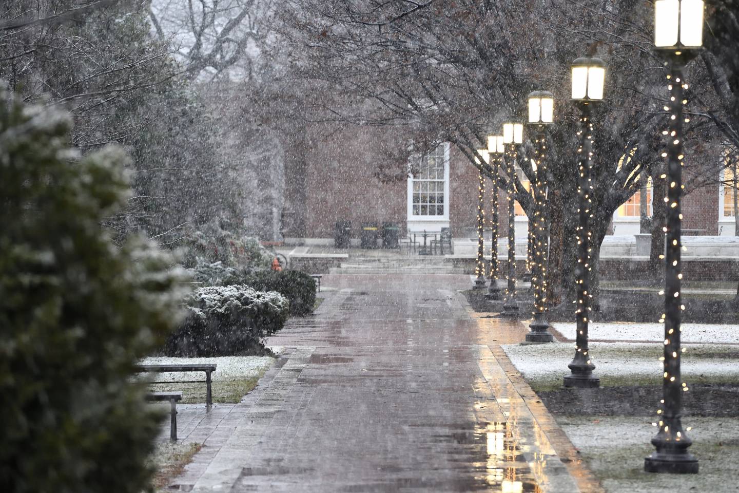 A light snow falls on Homewood campus