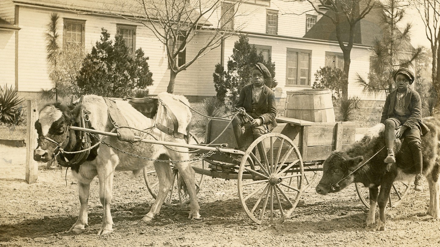 Sepia photo of two young black boys sitting on mules/horses that are connected to carriages Sepia photo of two young black boys sitting on mules/horses that are connected to carriages