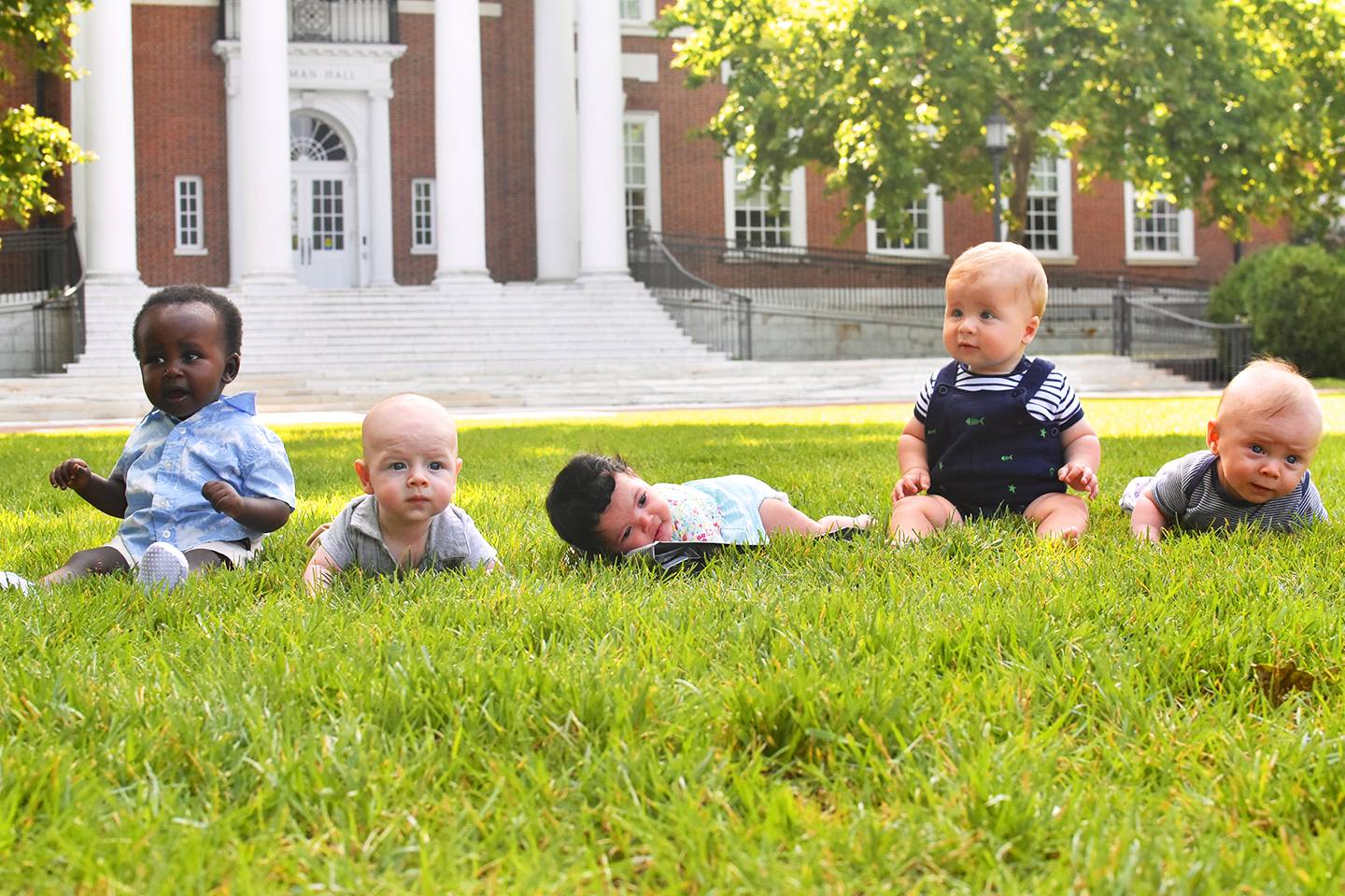 Five babies in the grass Five babies in the grass