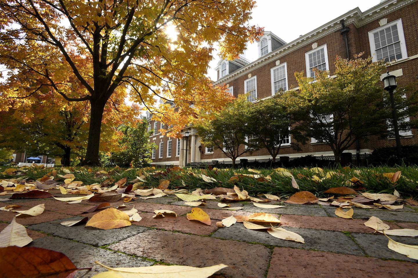 Campus in the autumn