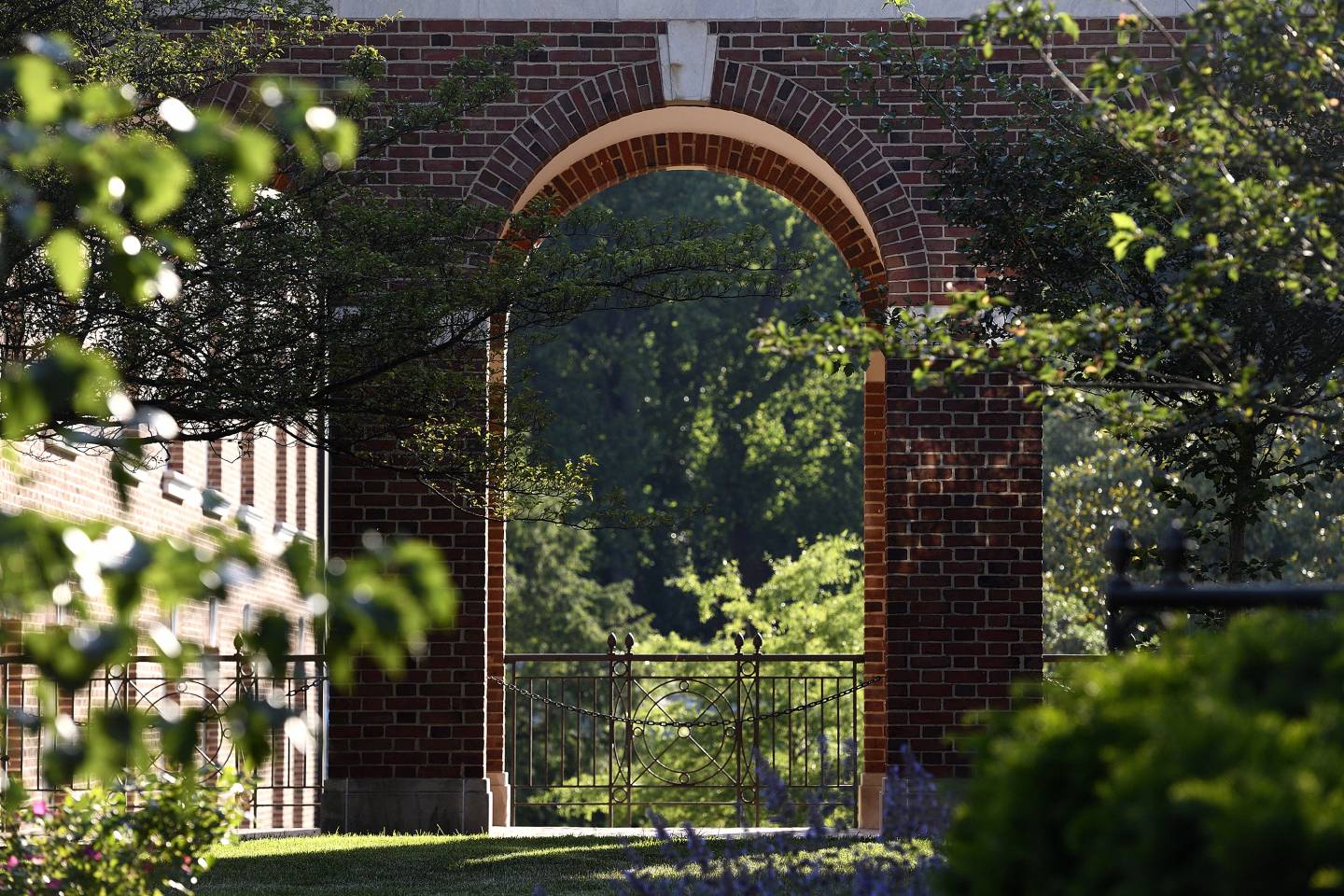 Homewood campus archways in the sunshine