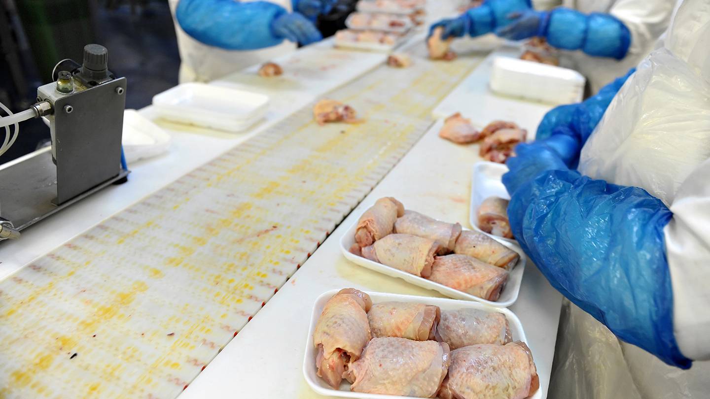 Workers in a poultry processing plant package meat