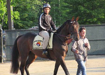 preakness kumin exaggerator sol hub alum hopkins wins johns owner big stakes pimlico 141st caption won race course friday before