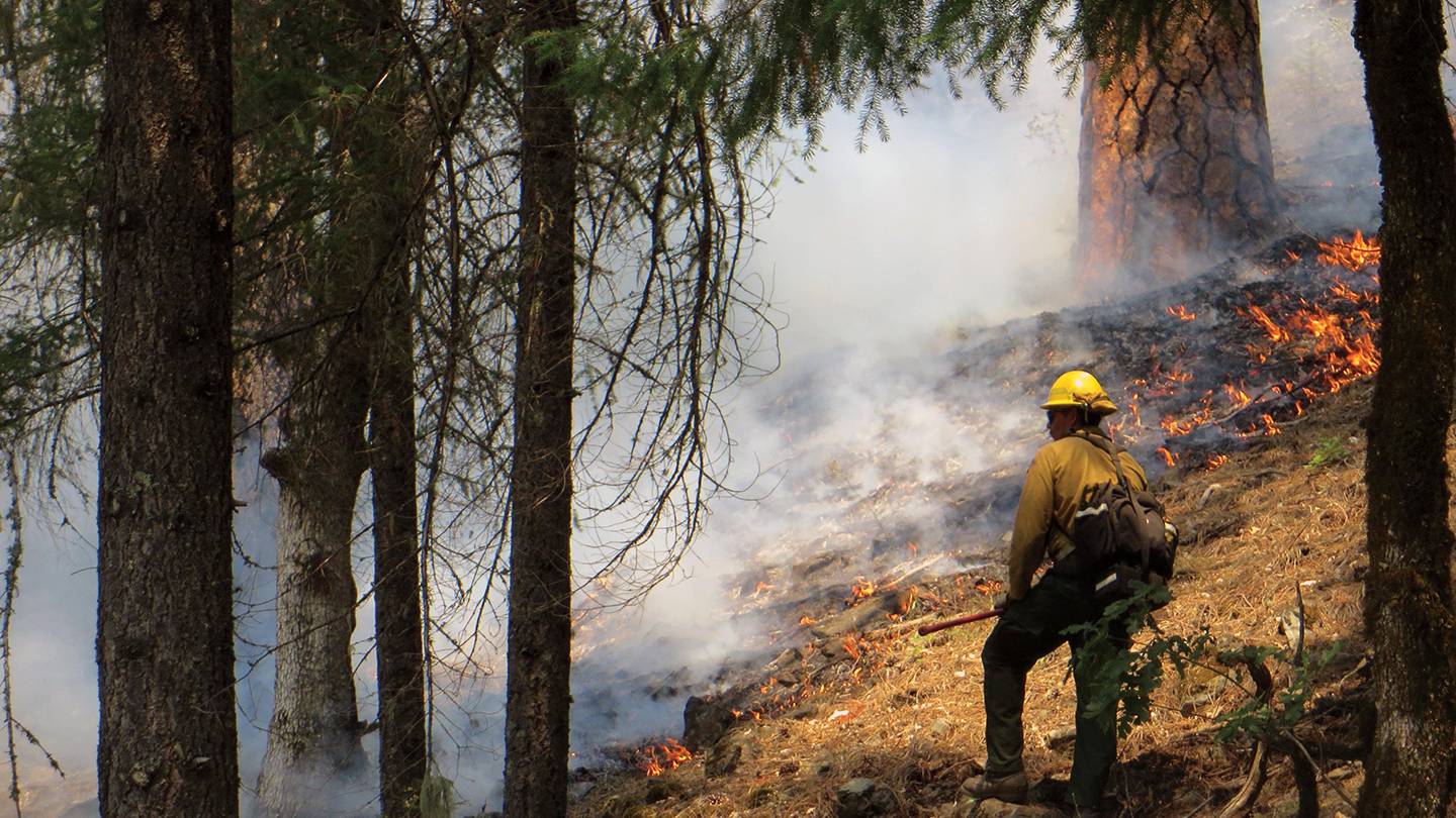 A fire fighter battles a forest fire A fire fighter battles a forest fire