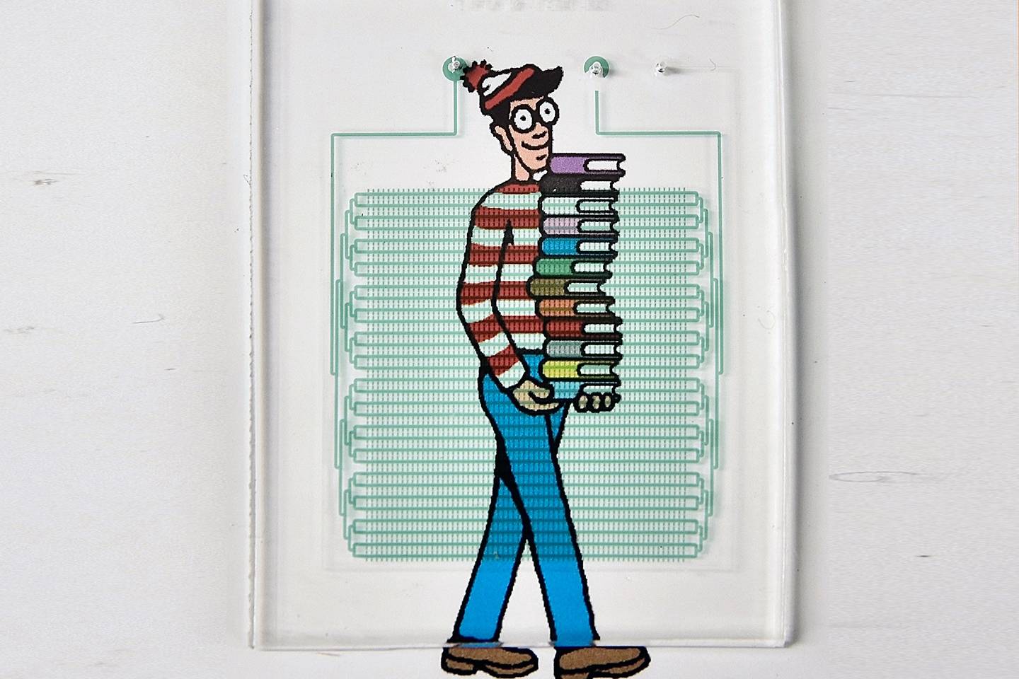 Waldo is displayed underneath a device that looks like a maze of tubes mounted on a board