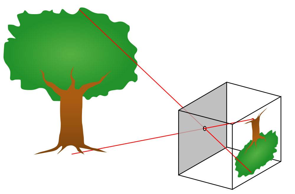 Illustration of how a pinhole camera works